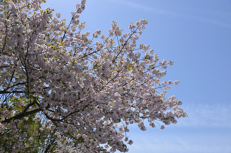 image0223