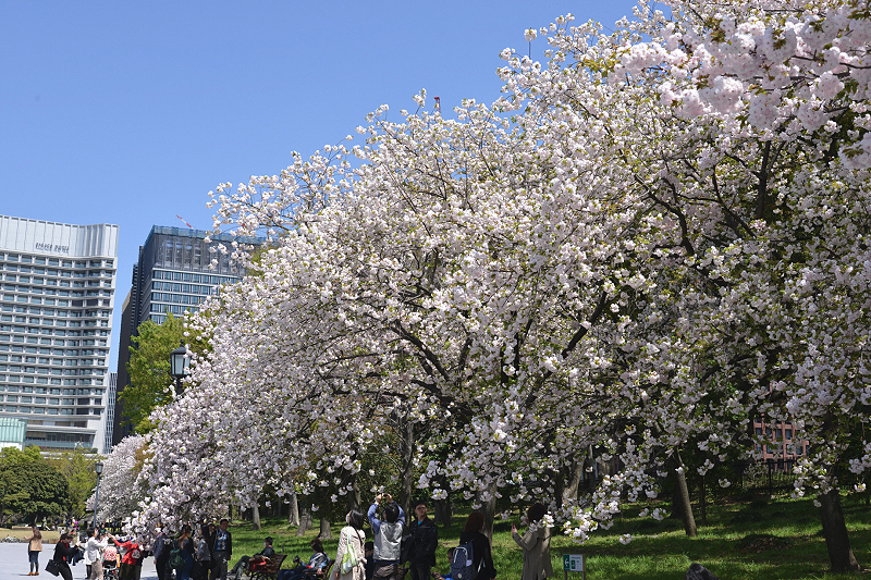 image0225
