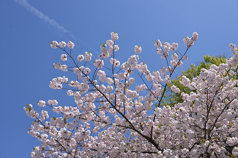 image0227