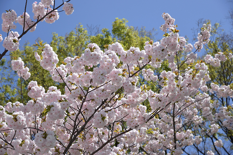 image0228