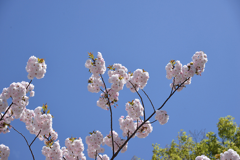 image0229
