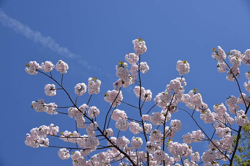 image0230