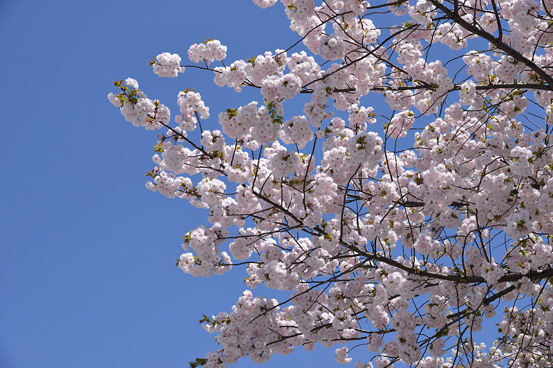 image0231