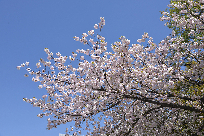 image0232