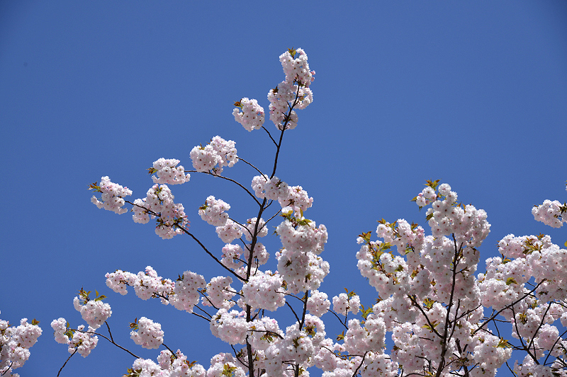 image0233