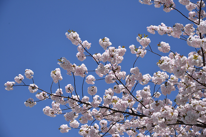image0234