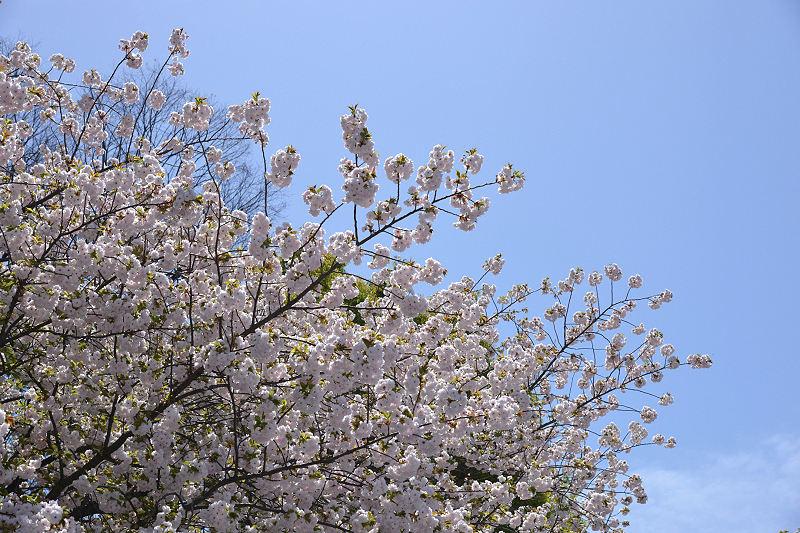 image0237