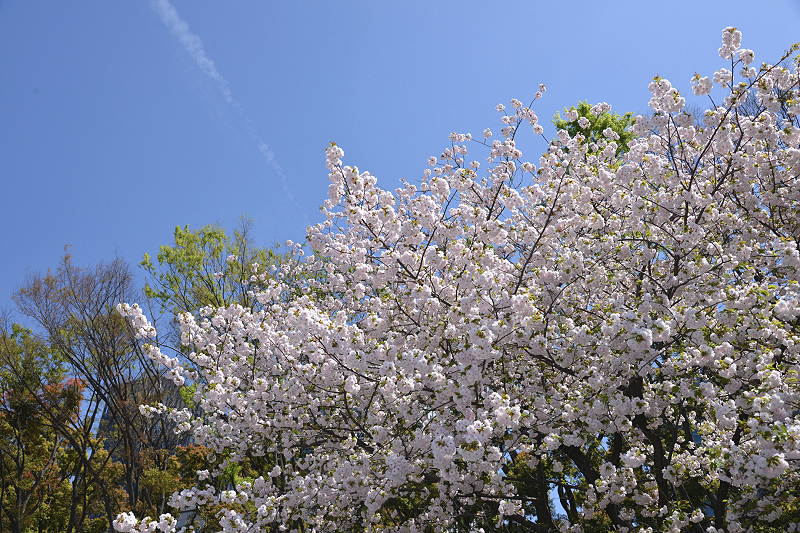 image0238