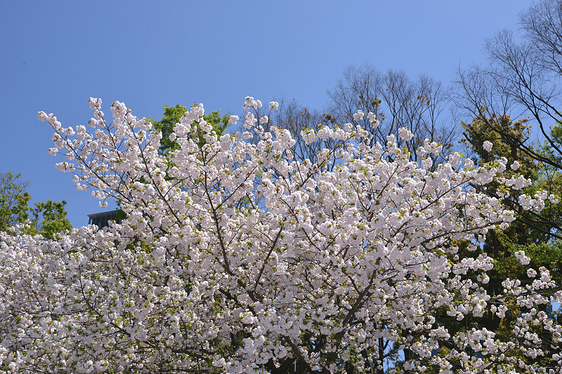 image0241