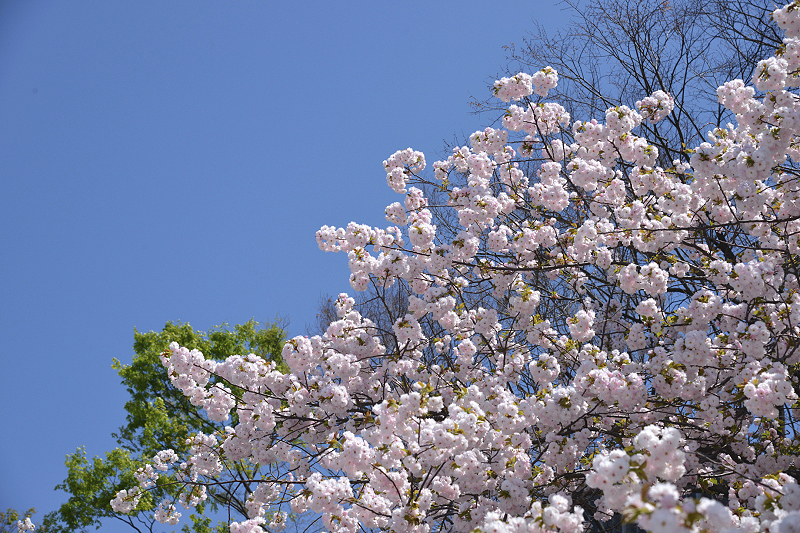 image0243