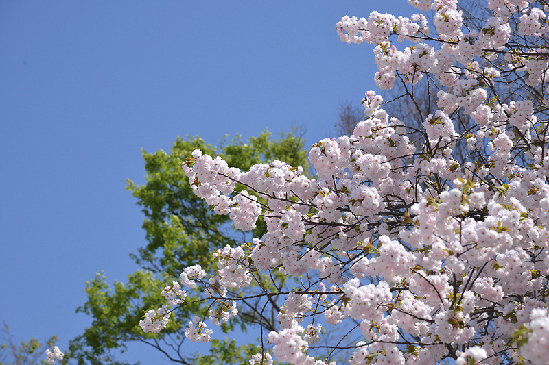 image0244
