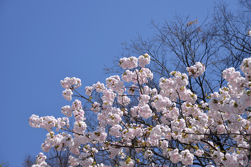 image0245
