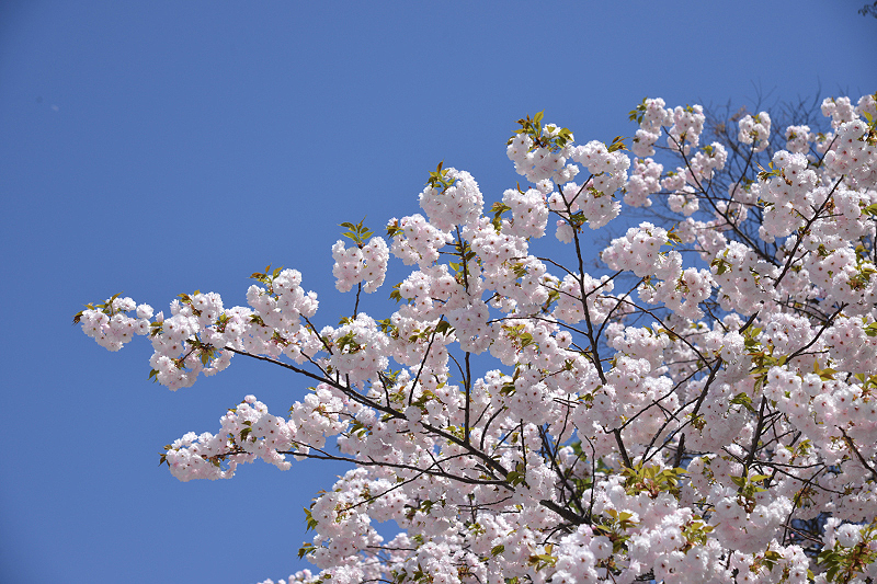 image0246