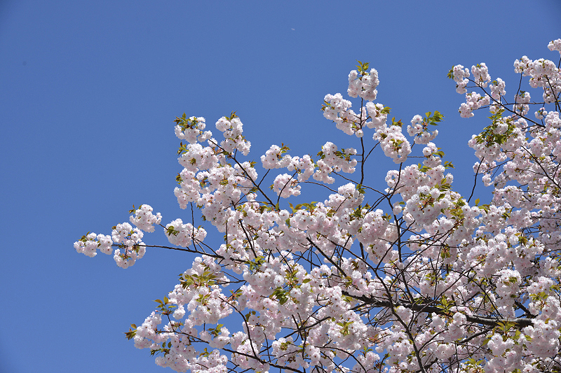 image0248