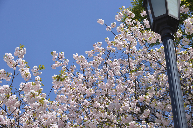 image0249