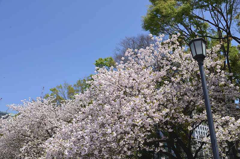 image0250