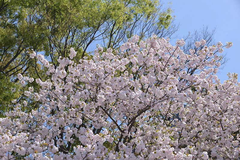 image0251