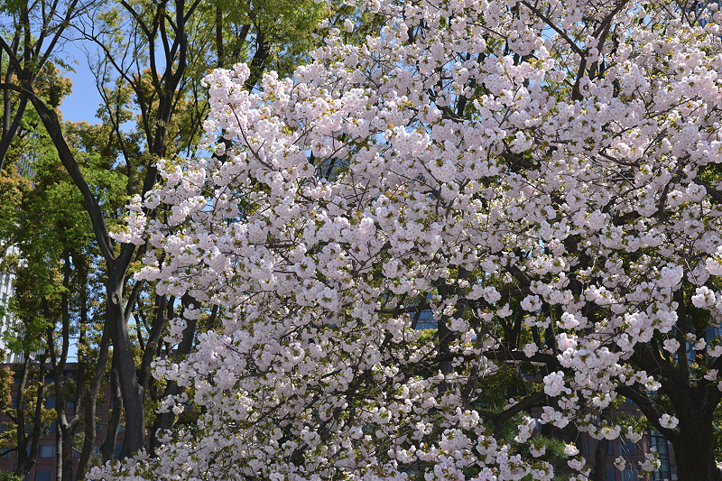 image0252