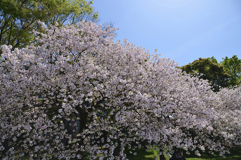 image0254
