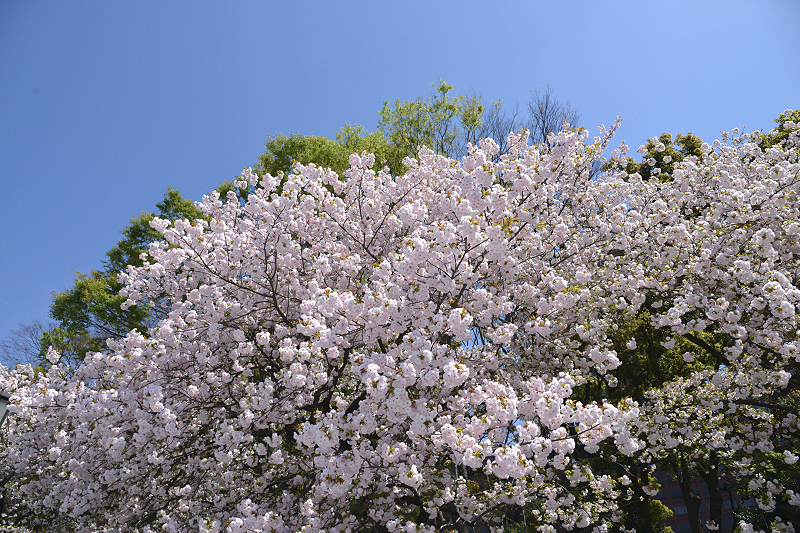 image0255
