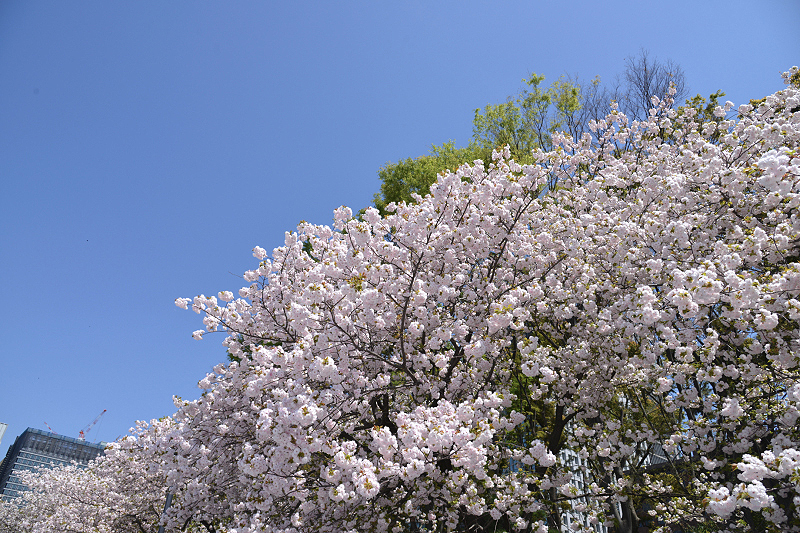 image0257