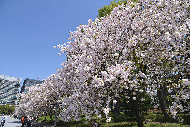 image0258