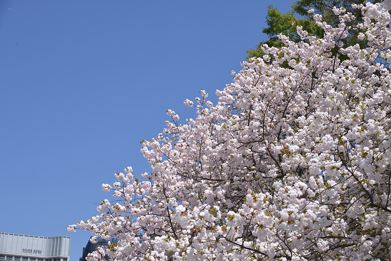 image0260