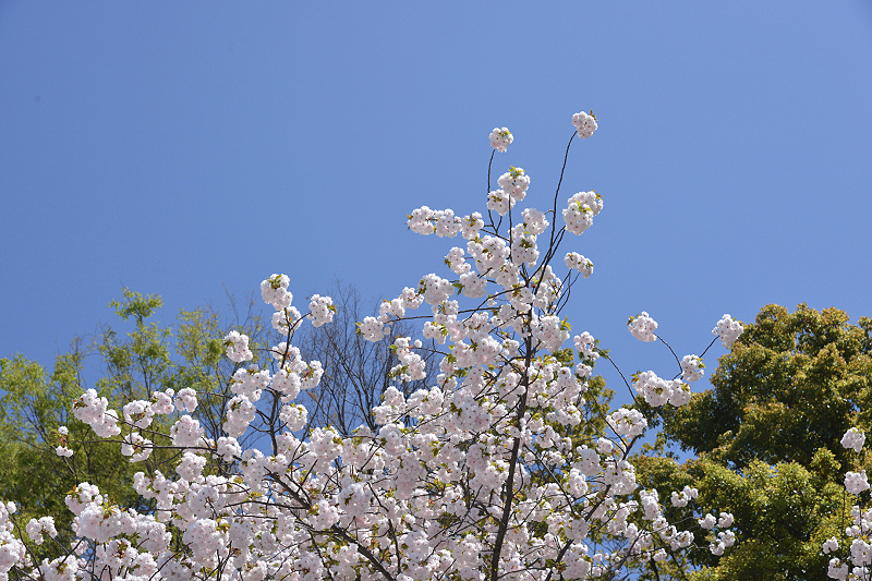 image0261