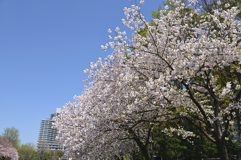image0262
