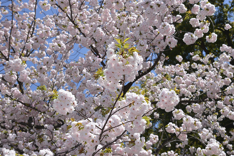 image0265