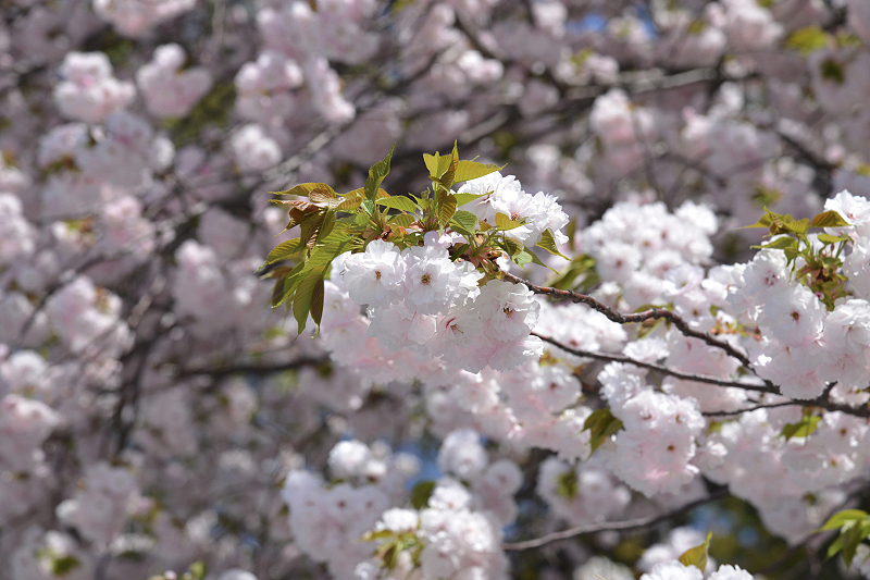 image0266