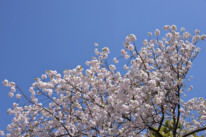 image0271