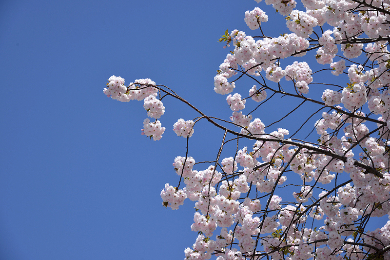 image0272