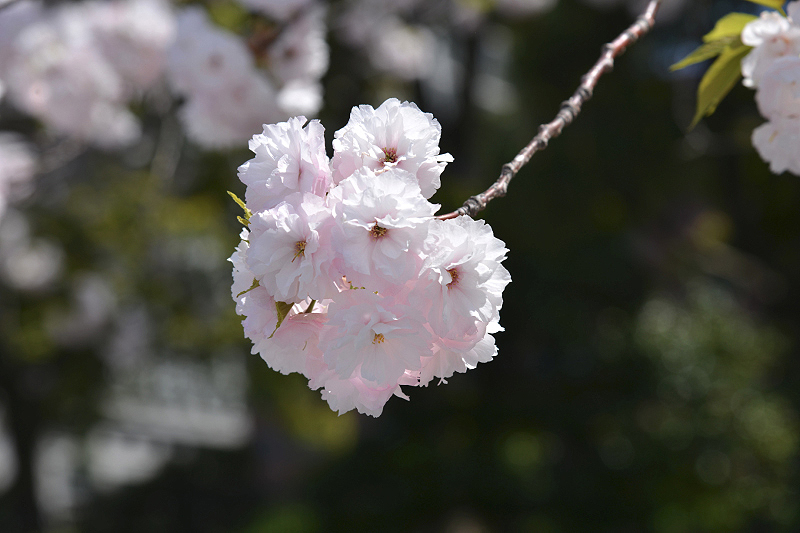 image0273