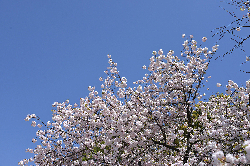 image0274