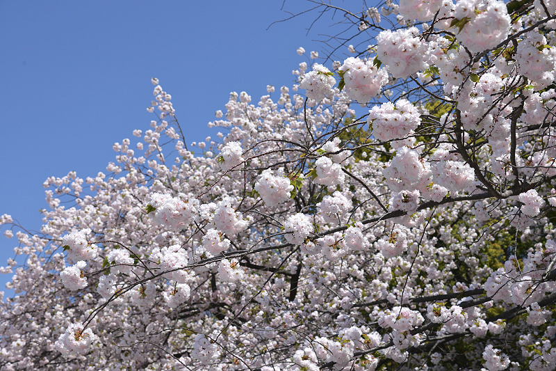 image0276