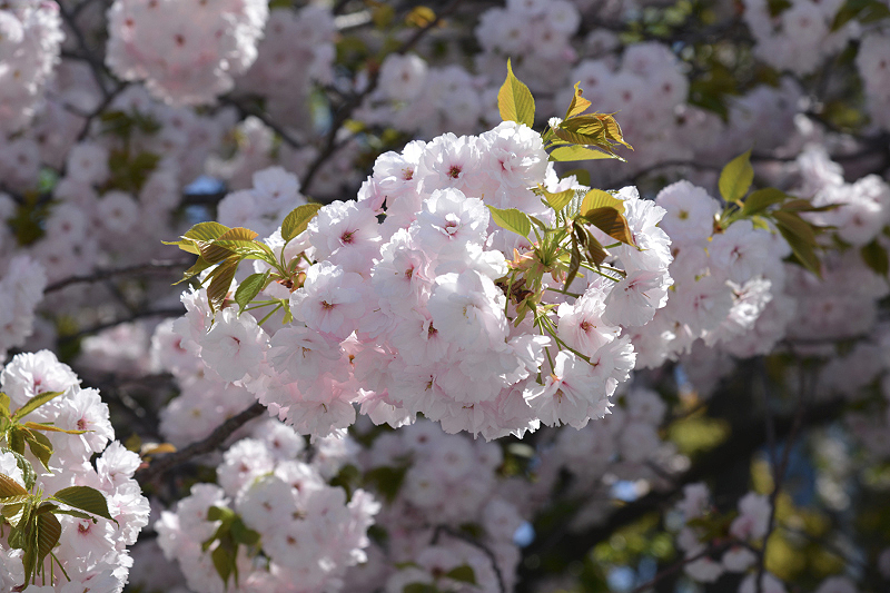 image0277