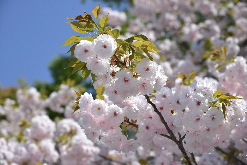 image0278