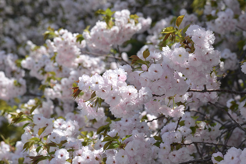 image0279