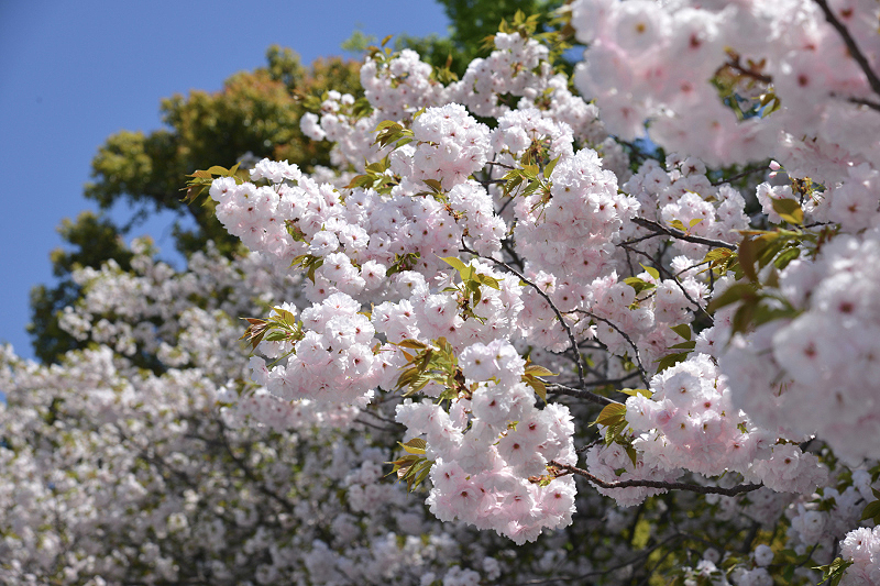 image0280