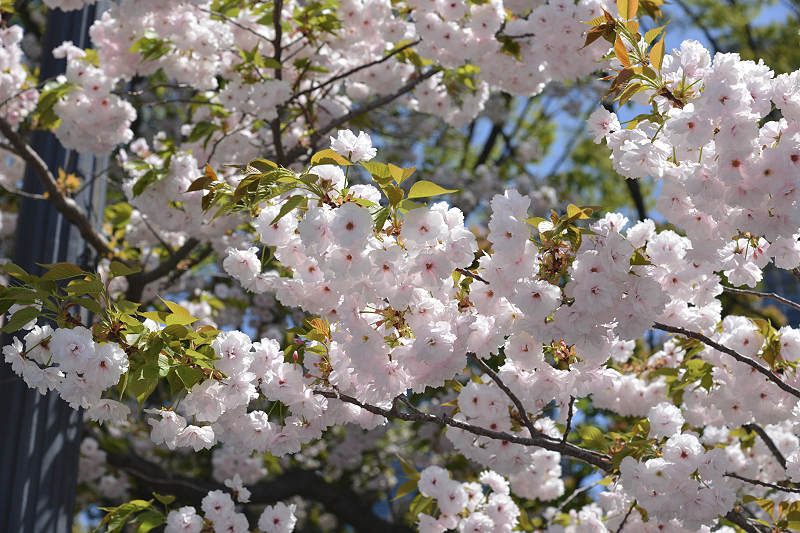 image0282