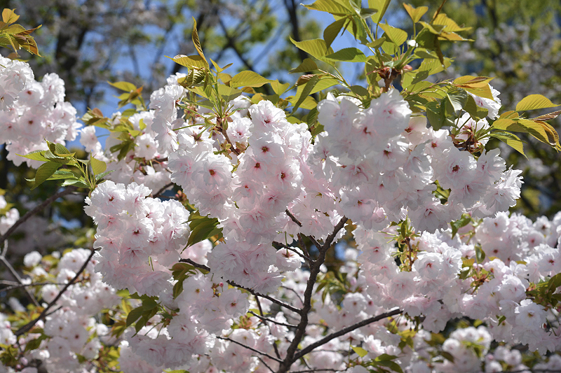 image0283