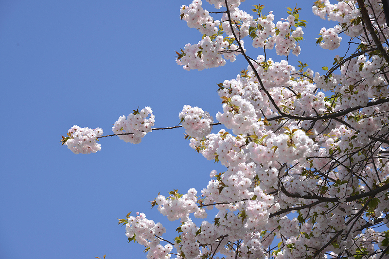 image0287