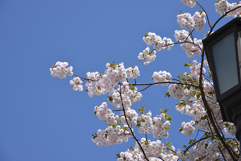 image0288