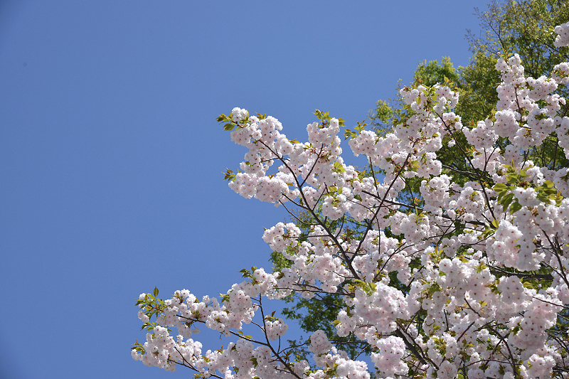 image0290