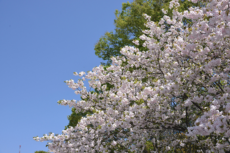 image0291