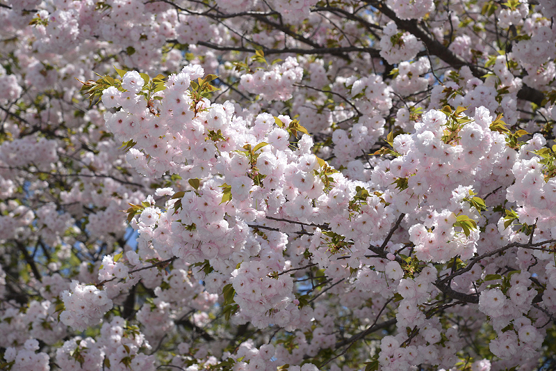 image0292