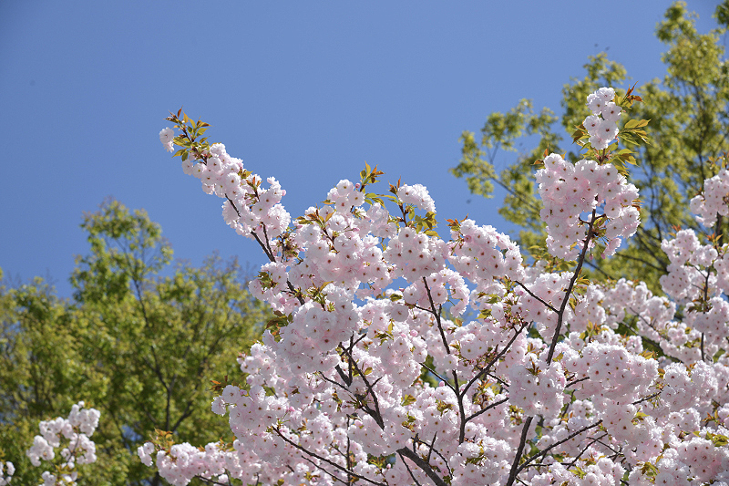 image0293