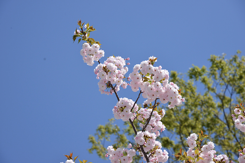image0294