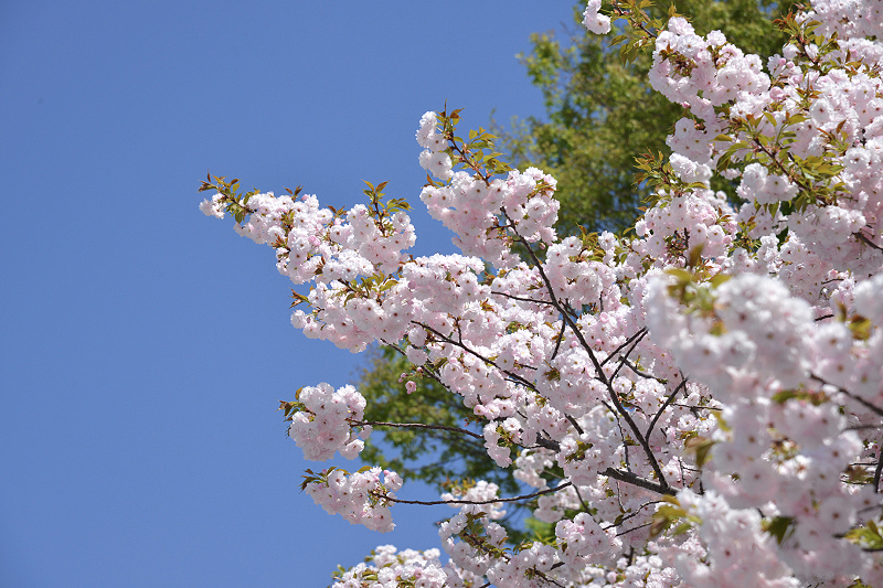 image0295
